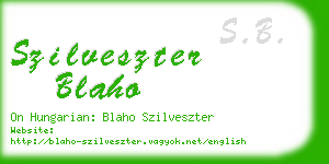 szilveszter blaho business card